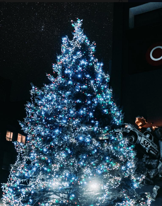 Christmas tree in Norwalk, Ohio